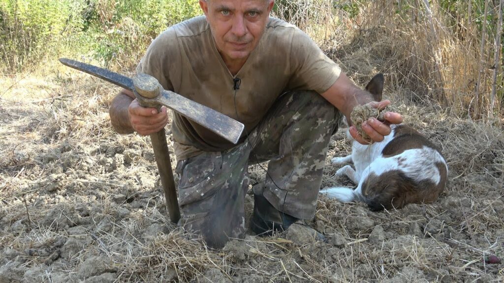 Scopri i migliori attrezzi manuali per lavorare la terra e raggiungi un